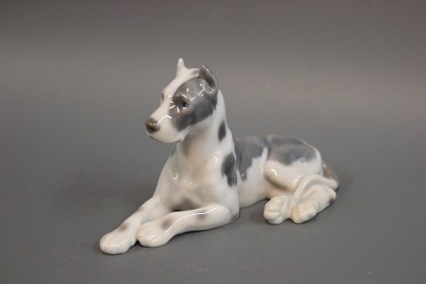 B&G porcelain figurine, lying Great Dane, no. 2190.
5000m2 showroom.