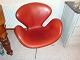 2 Swan chair designed by Arne Jacobsen with Indian red leather from 1963 in 
perfect  condition 5000 m2 showroom
