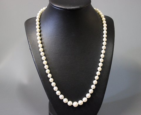 Necklace with freshwater Pearls in graduation with silver Lock.
5000m2 showroom.