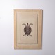 Print depicting a turtle in a frame from the 1980s
